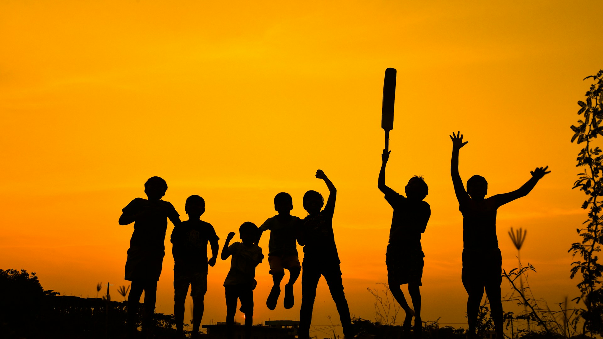 Mastering Fantasy Cricket: Proven Tips to Build a Winning Team